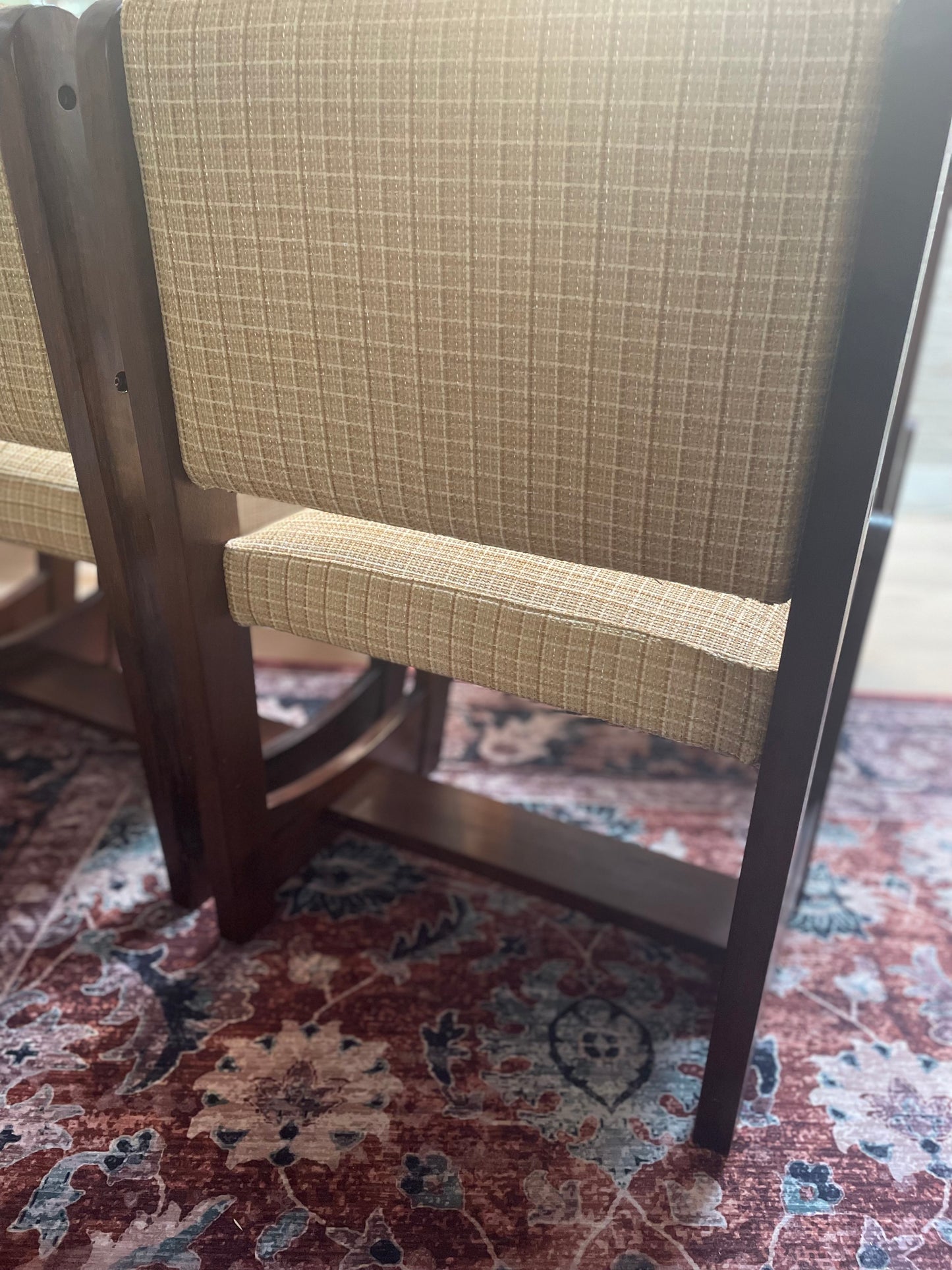 Imbuia Dining Chairs — Classic Retro Revival (Set of Six)